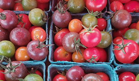 Farmers Markets In The Berkshires, Farm Stands In The Berkshires, Farmers Market In The Berkshires, Farm Stand In The Berkshires, Berkshire Farmers Market