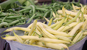 Farmers Markets In The Berkshires, Farm Stands In The Berkshires, Farmers Market In The Berkshires, Farm Stand In The Berkshires, Berkshire Farmers Market